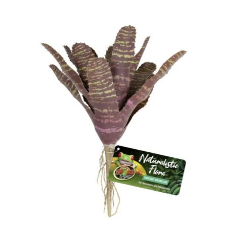 [BR_223976] Zoo Med Chestnut Bromeliad