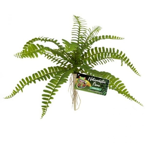 [BR_223978] Zoo Med Sword Fern