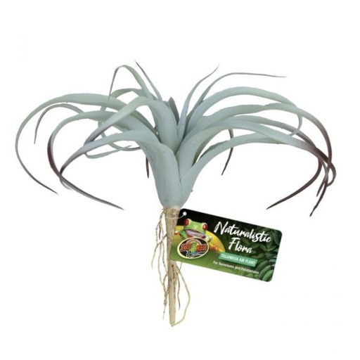 [BR_223979] Zoo Med Tilandsia Air Plant