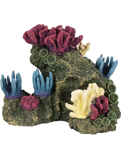 [BR_224038] # AD FLORALIA KORAAL 20x15x15CM
