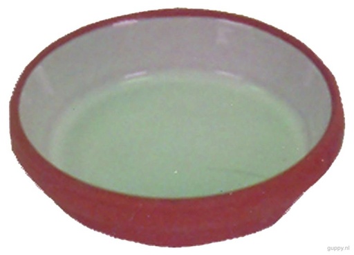 [BR_3468] STENEN SCHAALTJE 10 CM IVOOR