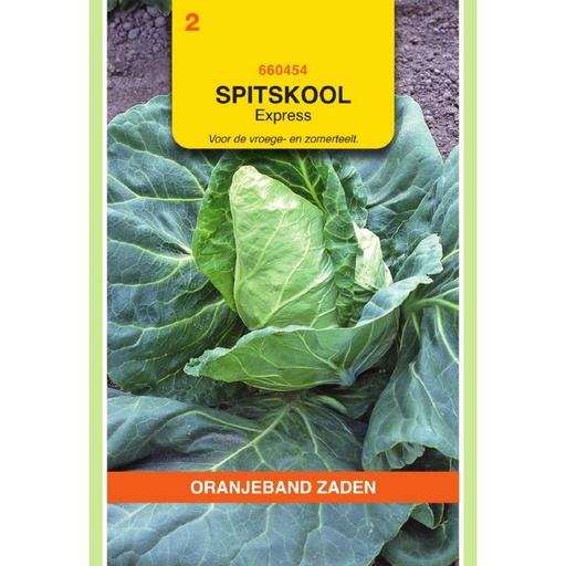 [660454] OBZ Spitskool Express