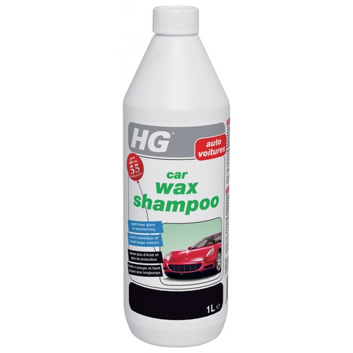 [238100100] HG AUTOREINIGER EN BESCHERMER 0,95L