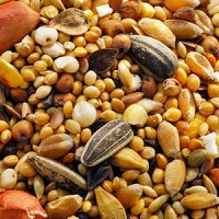 [10994] Vogelstrooivoer 1kg