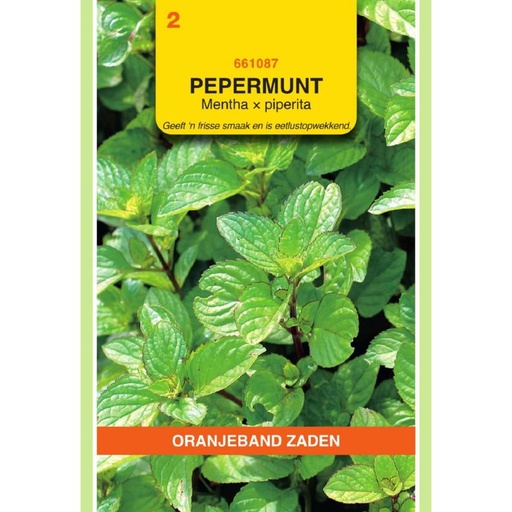 [661087              ] OBZ Pepermunt