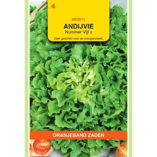 [BR_155579] OBZ Andijvie Nummer Vijf 2