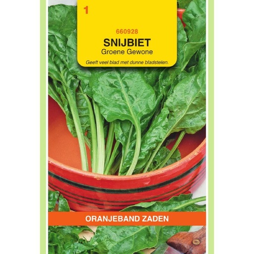 [660928              ] OBZ Snijbiet Groene Gewone