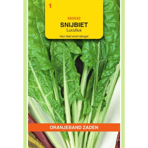 [BR_155626] OBZ Snijbiet Lucullus