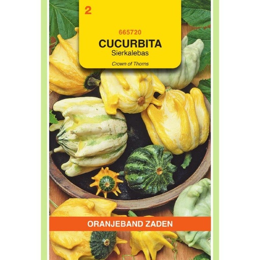 [BR_155694] OBZ Cucurbita, Sierkalebas Crowns Of Thorns gemengd