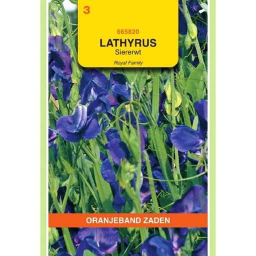 [BR_155707] OBZ Lathyrus , Reuk- of siererwt Royal, blauw