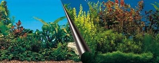 [BR_167452] POSTER ACHTERWAND BEAUTY & SEA 80x40cm
