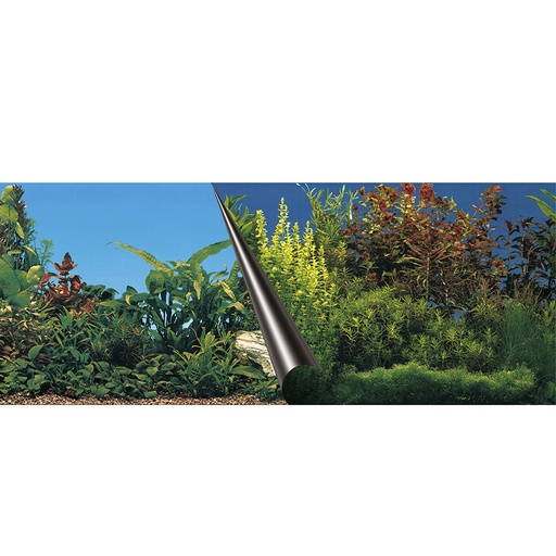 [BR_167764] POSTER ACHTERWAND BEAUTY & SEA 120x50cm