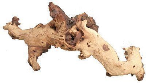 [007 2150] Boon Aqua Deco mopani hout, middel