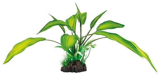 [A4070800] SF ART PLANT 25CM CRYPTOCORYNE