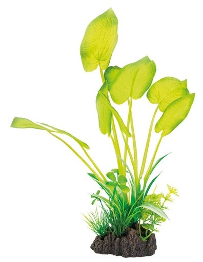 [A4070810] SF ART PLANT 25CM ECHINODORUS