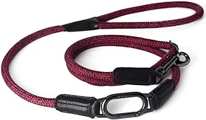 [BR_225136] H5D METROPOLITAN CLIC Leiband Rood-11mmx140cm
