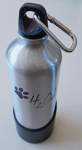 [BR_179964] H2O2GO 750 ml RVS silver
