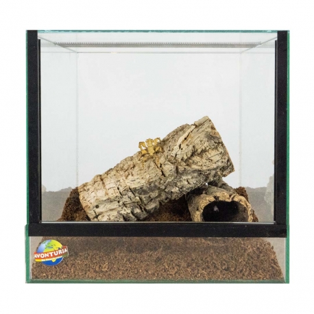 [ZD-M303030] # Mini  met valdeur standaard 30*30*30 cm.