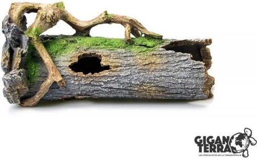 [BR_225064] Giganterra Stam 11x11x26 cm