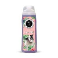 # PFD Shampoo Lavendel 300 ml