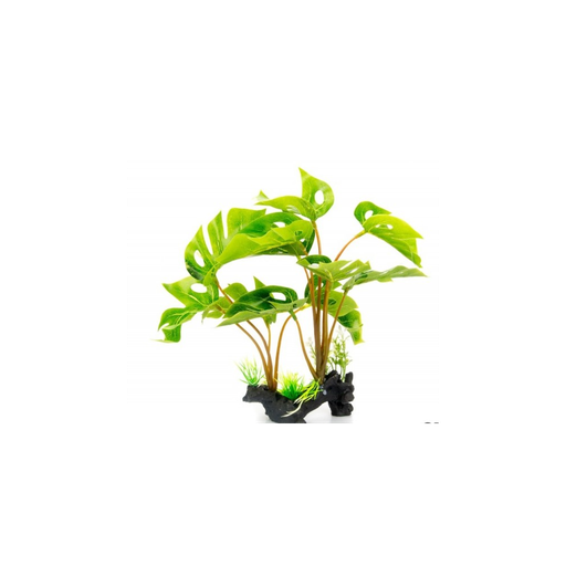 [G04-00233] Giganterra staande plant Philodendron Monstera