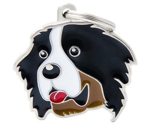 BERNESE MOUNTAIN DOG