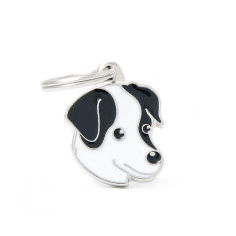 BLACK AND WHITE JACK RUSSELL