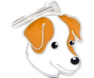 [MF25ORANGE] WHITE AND BROWN JACK RUSSELL