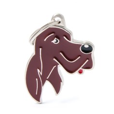 IRISH SETTER
