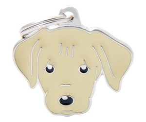 YELLOW LABRADOR