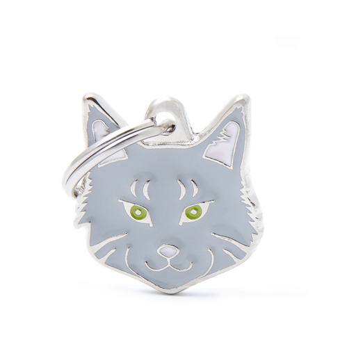 SILVER TABBY MAINE COON