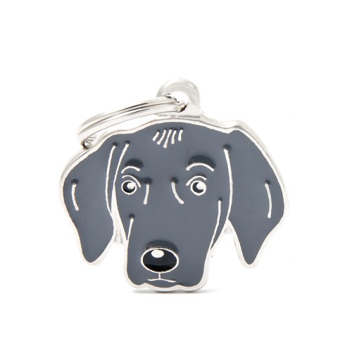 WEIMARANER