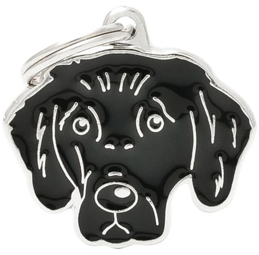 FLAT COATED RETRIVER
