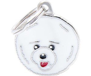BICHON FRISE