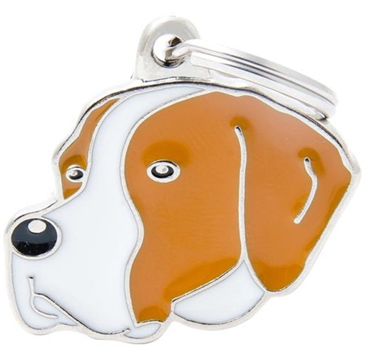 ENGLISH POINTER