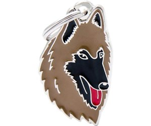 BELGIAN SHEPHERD