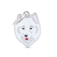 SAMOYED