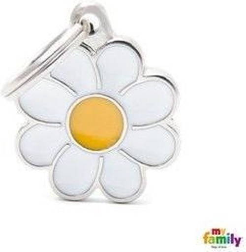 [CH01] DAISY
