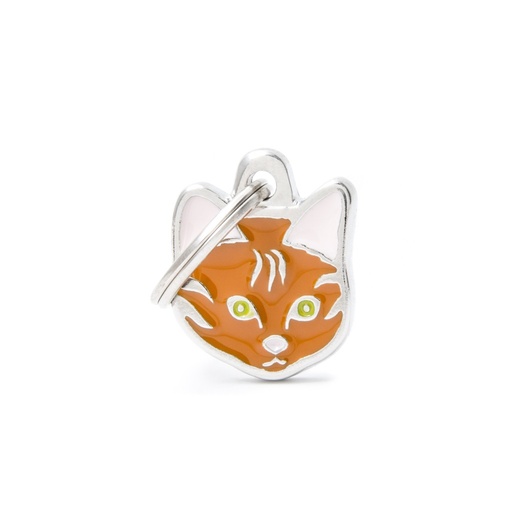 RED EUROPEAN SHORTHAIR