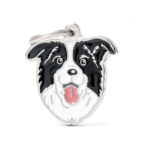 [MF03N] BORDER COLLIE