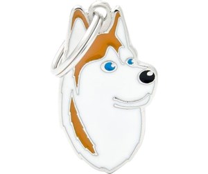 WHITE AND ORANGE HUSKY