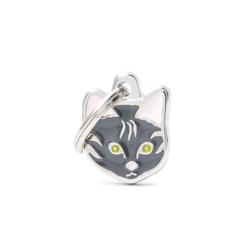 TABBY EUROPEAN SHORTHAIR