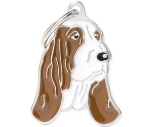 BASSET HOUND