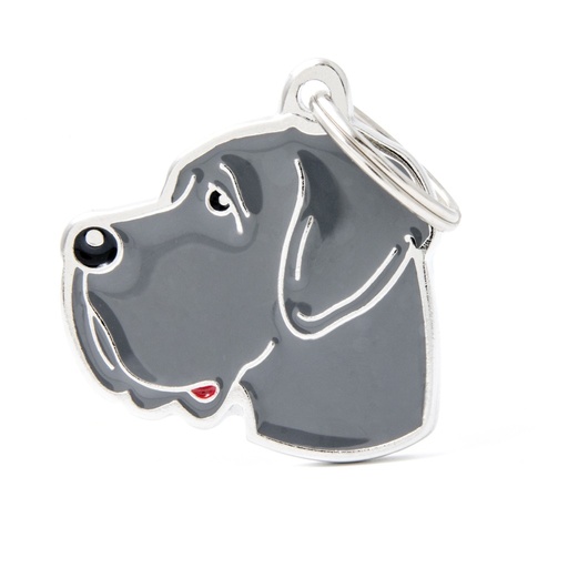 BLUE GREAT DANE