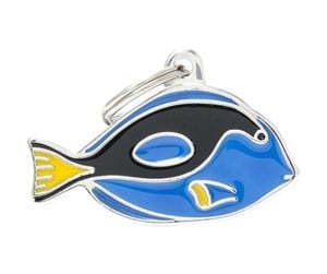 SURGEONFISH
