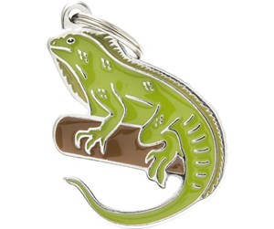 IGUANA