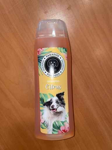 [0496051] # PFD Shampoo Citrus 300 ml