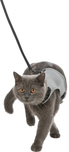 [41896] Softtuig kat, met riem, 24-42cm, 1,20m