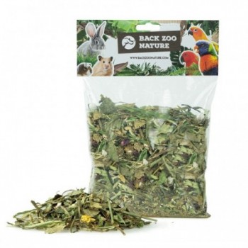 [ZF4516] Back Zoo Nature Garden Discovery Mix 100 gram
