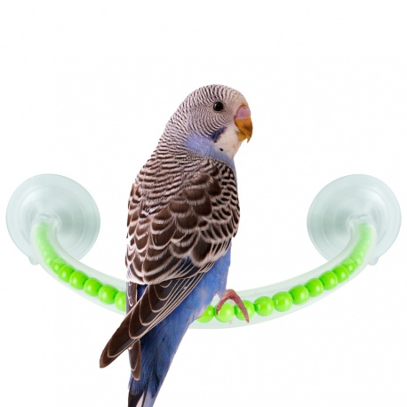 [PL1313] Petlala Happy Shower Perch Small